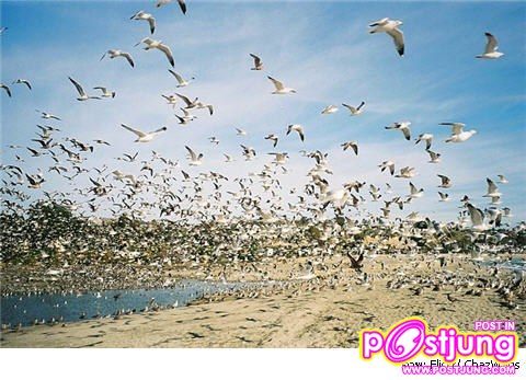 อันดับ 8. หาด "Doheny" ที่มลรัฐแคลิฟอร์