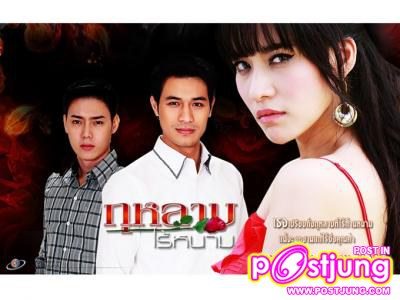 กุหลาบไร้หนาม