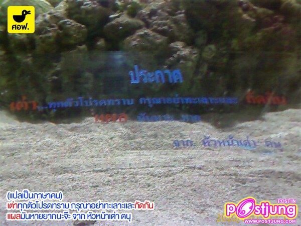 ขมาขำๆ กับ " ภาษาไทย " ที่ง่ายกับความเข้าใจ????