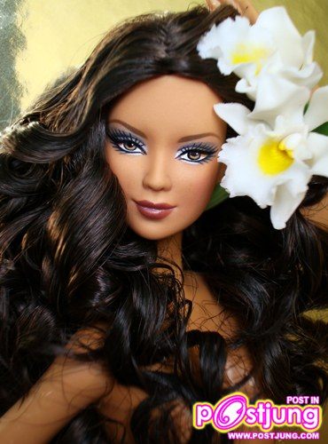 Beauty of Orchid is Mexcico