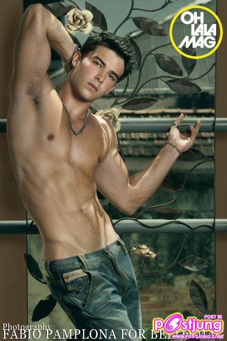 Model new2010