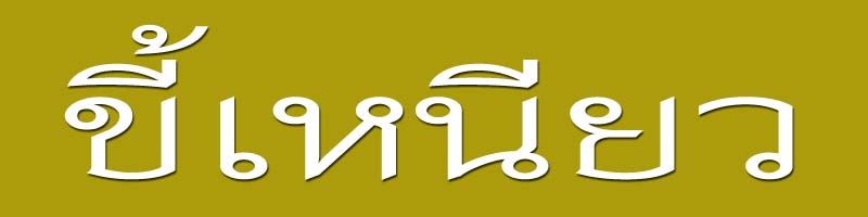 เรื่อง ขี้ ขี้ ที่ไม่ธรรมดา