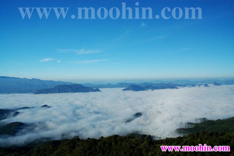ทะเลหมอกแห่งเมืองตาก