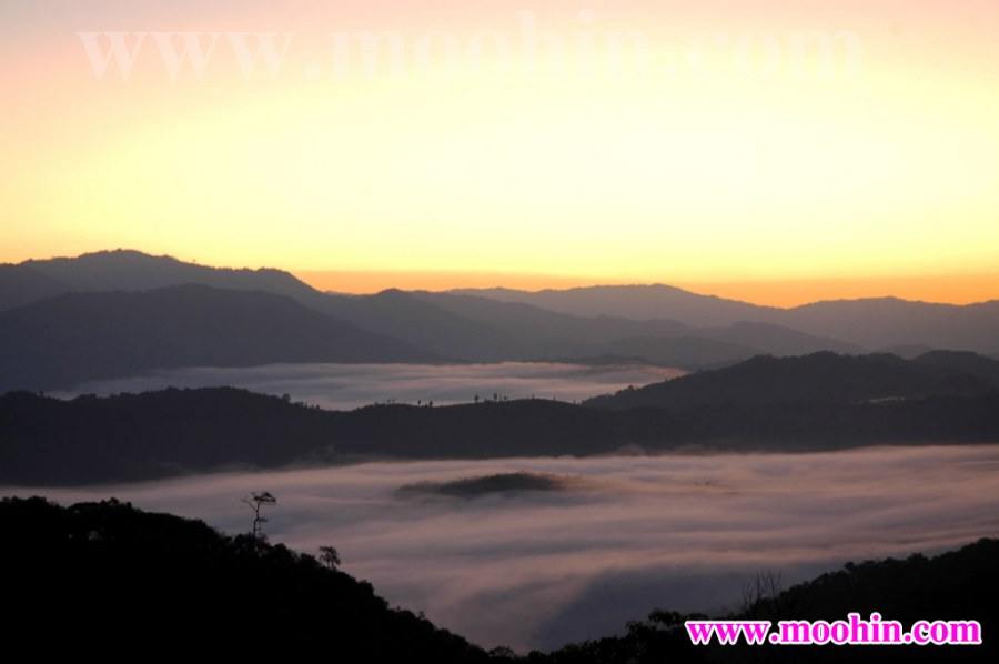ทะเลหมอกแห่งเมืองตาก