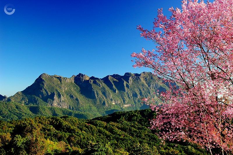 This is Thailand.