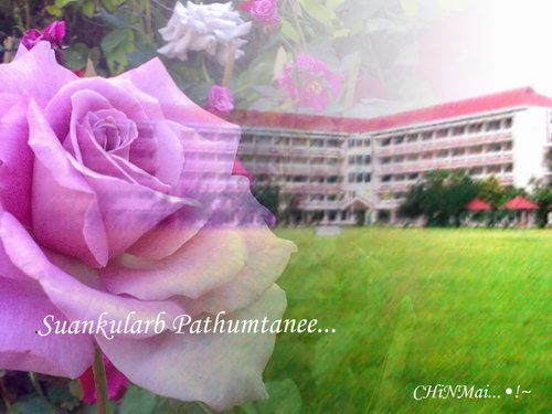 นวมินทราชินูทิศ สวนกุหลาบฯ ปทุมธานี