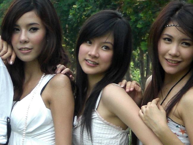 ใบเฟิร์นสุ๊สน่ารั๊ก