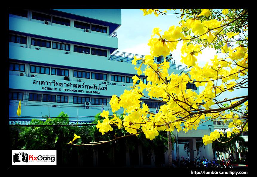 มหาวิทยาลัยในส่วนภูมิภาค