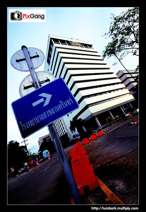 มหาวิทยาลัยในส่วนภูมิภาค