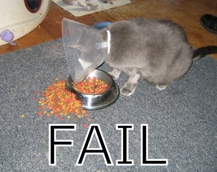 Failllllll