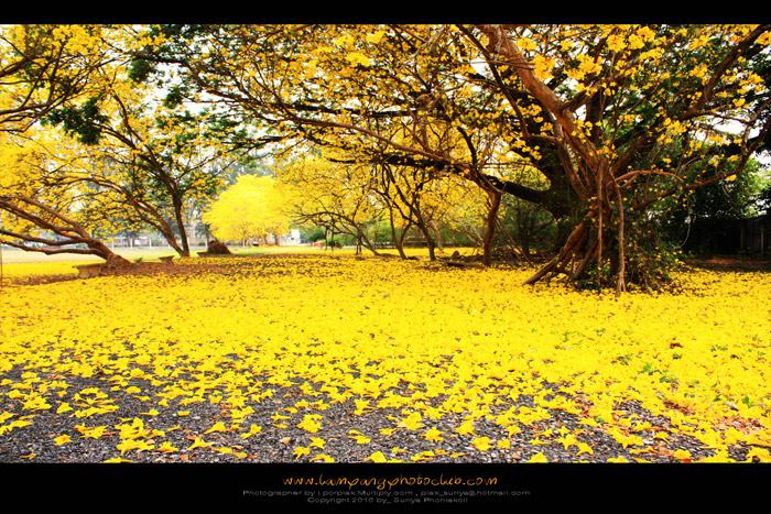 นครลำปาง