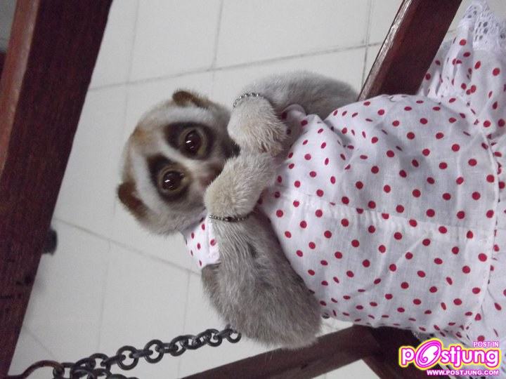 น่ารักอ่ะดิ