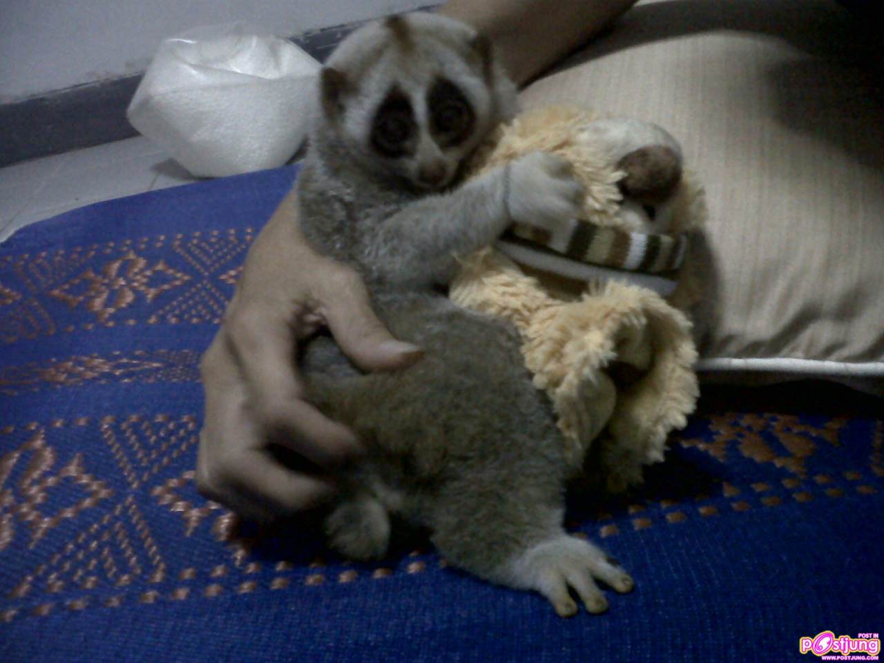 ของนู๋ห้ามยุ่ง