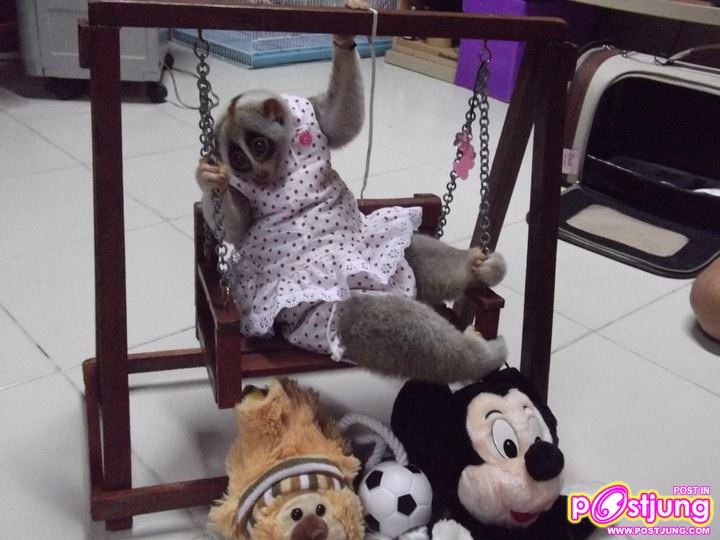 นู๋ไม่เคยโดนขังนะ