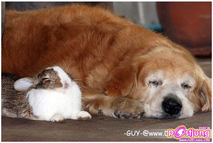 อ้วนจ่ำม่ำ ><