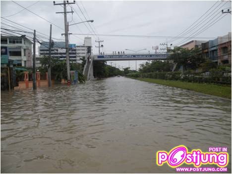 มหาวิทยาลัยราชภัฏสงขลาหลังพายุถล่ม01.11.10