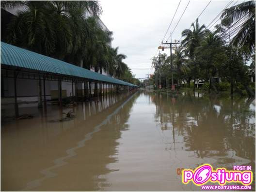มหาวิทยาลัยราชภัฏสงขลาหลังพายุถล่ม01.11.10