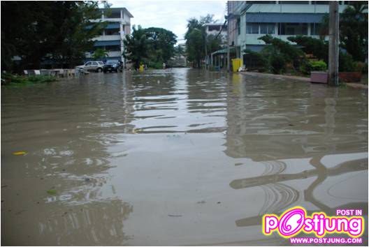 มหาวิทยาลัยราชภัฏสงขลาหลังพายุถล่ม01.11.10