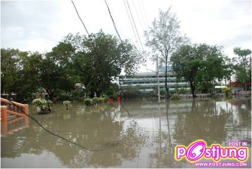 มหาวิทยาลัยราชภัฏสงขลาหลังพายุถล่ม01.11.10
