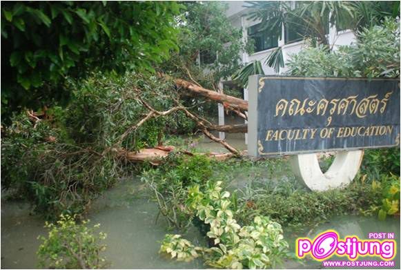 มหาวิทยาลัยราชภัฏสงขลาหลังพายุถล่ม01.11.10