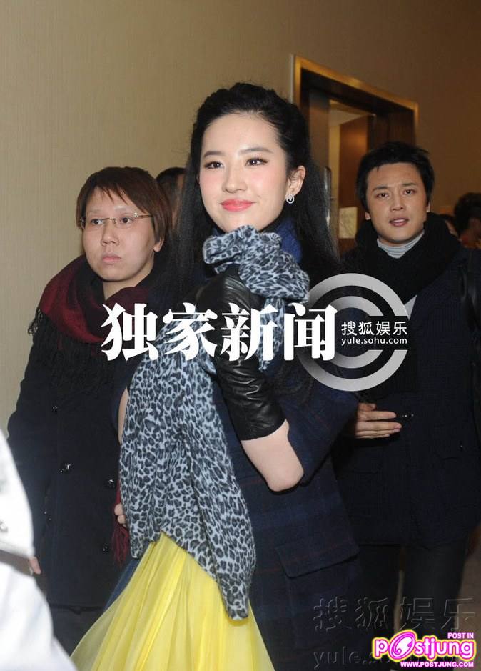 Liu Yi Fei