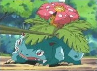 Pokemon การ์ตูนที่หวานชื่นชอบค่ะ