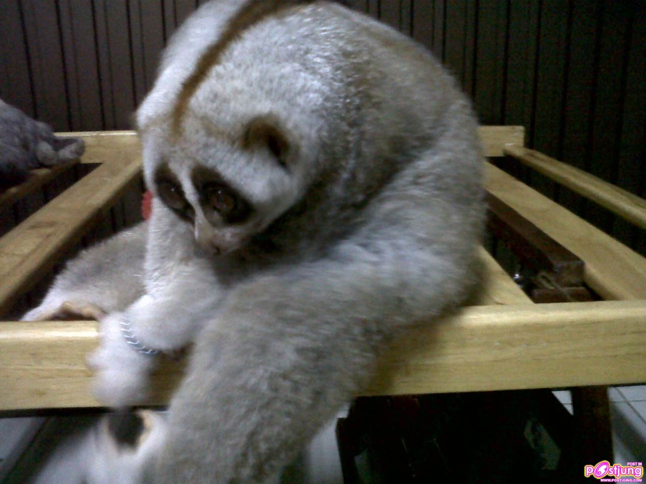 ที่เล่นของนู๋
