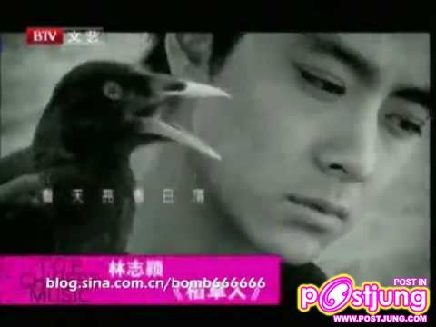 Jimmy Lin