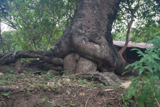 ความงามของธรรมชาติ