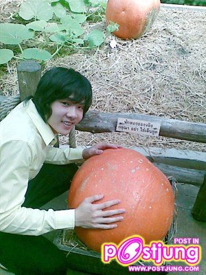 แอมป์อีกสักครั้ง