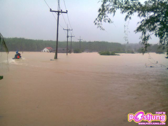 ประมวลภาพน้ำท่วมภาคใต้