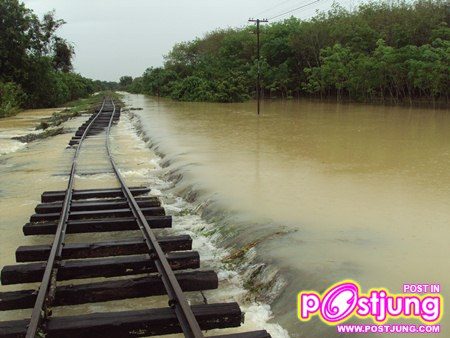 ประมวลภาพน้ำท่วมภาคใต้