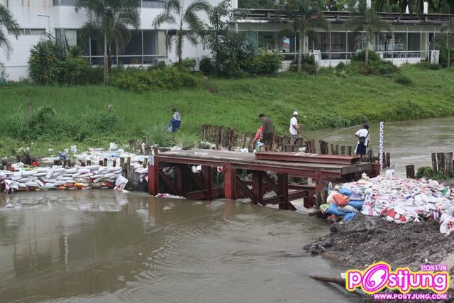 ประมวลภาพน้ำท่วมภาคใต้