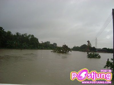 ประมวลภาพน้ำท่วมภาคใต้
