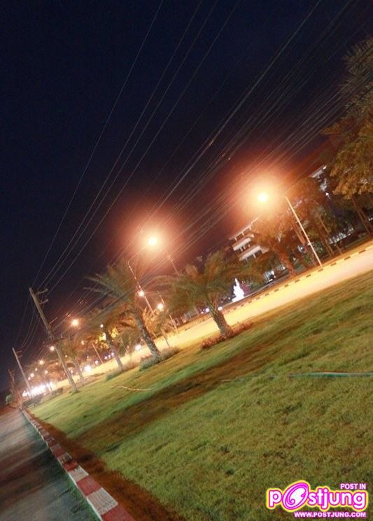 MSU โฉมใหม่ไร้ฝุ่นครับ ^^
