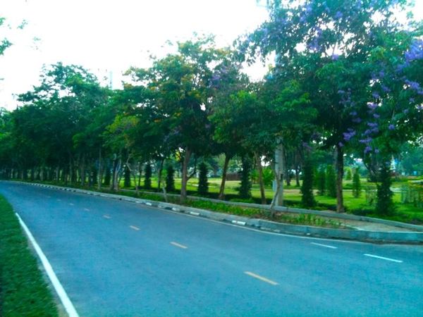 MSU โฉมใหม่ไร้ฝุ่นครับ ^^