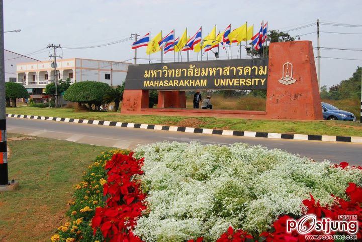 MSU โฉมใหม่ไร้ฝุ่นครับ ^^