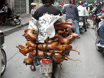 โ อ้ ...โ ห.....จ ะ บ้ า ต า ย (Only in Vietnam )