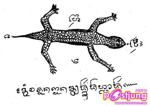 เอามาแบ่ง  อย่าเถียงกันเลยนะขอร้อง  อย่าด่า
