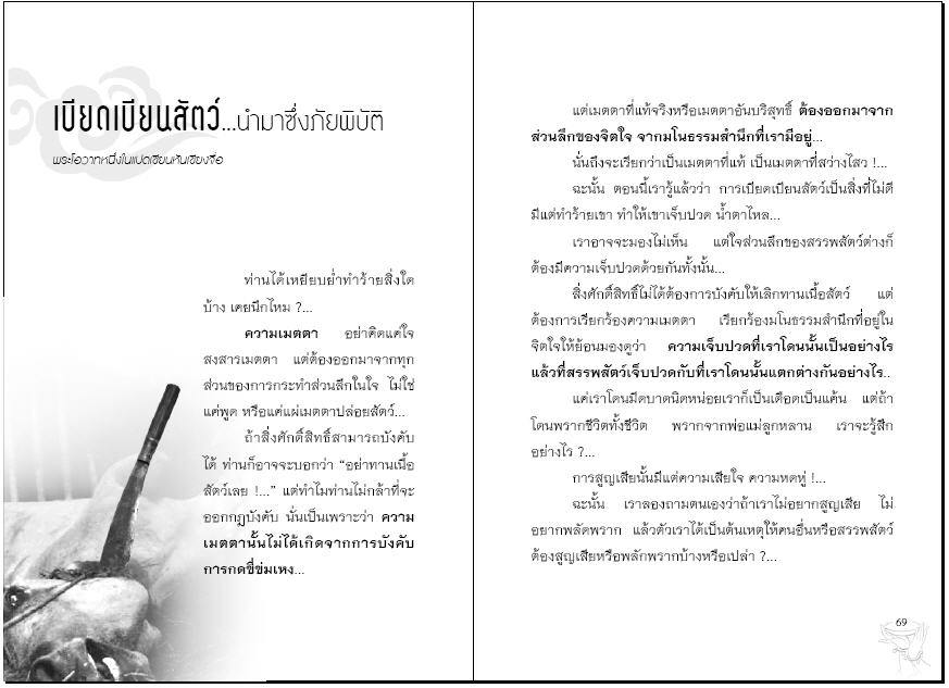 เพื่อนของเราในวัฎสงสาร