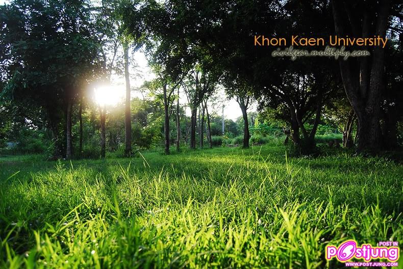 บรรยากาศใกล้ชิดธรรมชาติ สัมผัสได้ในมหาวิทยาลัยขอนแก่น