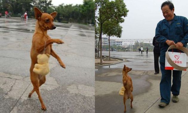 รวม fail ฮาๆ 2