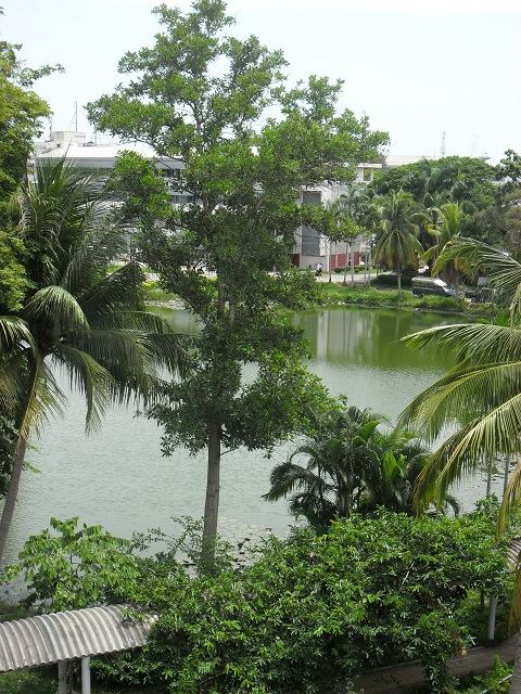 บางมุม ในมหาวิทยาลัยราชภัฏสงขลาSKLU