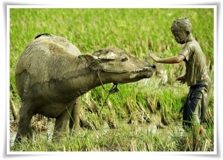 เพื่อนรัก