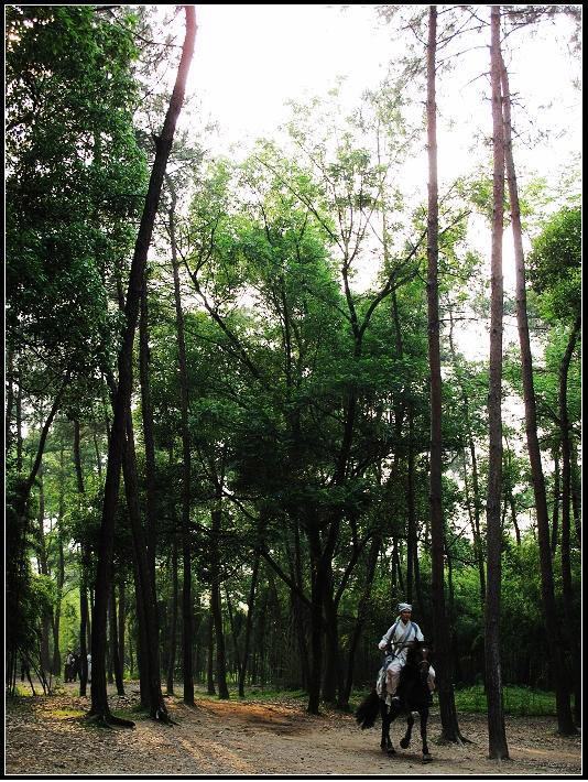 Guai Xia Yi Zhi Mei