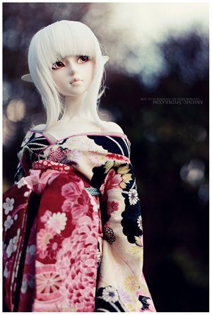 :: dollfie ::