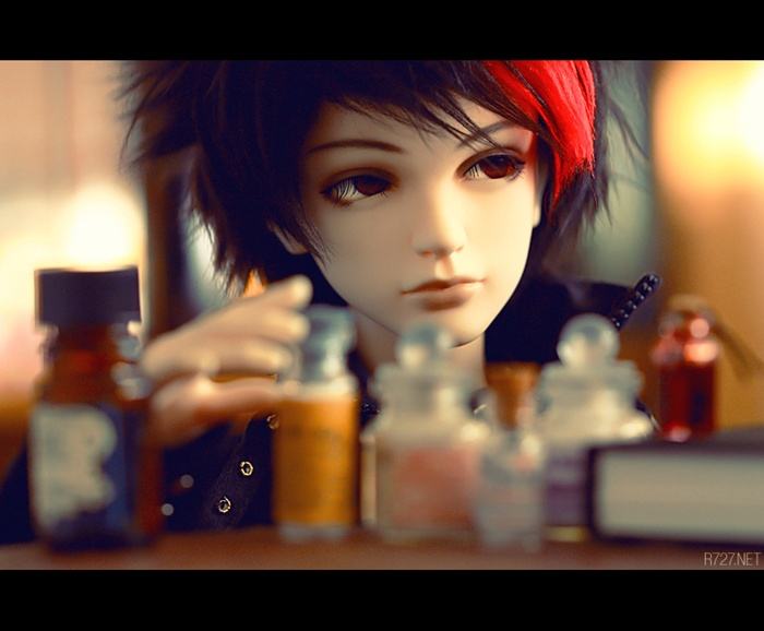 :: dollfie ::