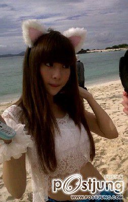 noey neko jump