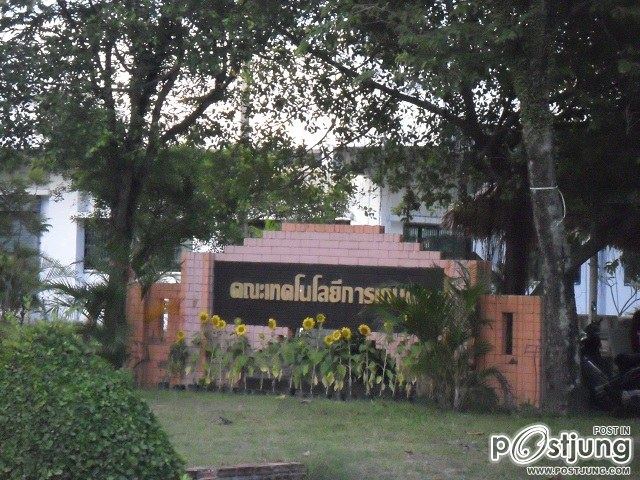 มหาลัยเล็กๆ มหาวิทยาลัยราชภัฏสงขลา