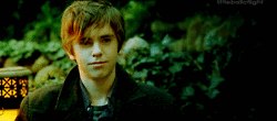 ใครเป็นแฟนคลับ Freddie Highmore